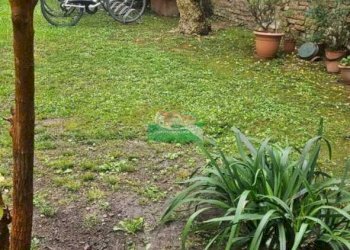 PHOTO-2025-10-31-12-35-01.jpg - Attico Via Tombesi dall'Ova, Ravenna - foto 14