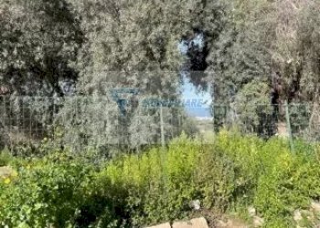 Terreno edificabile Via Goffredo Mameli, Siracusa - foto 5