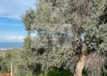 Terreno edificabile Via Goffredo Mameli, Siracusa - foto 11