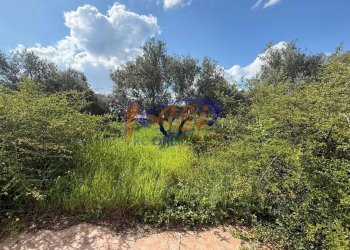 Villa a Schiera Lanciano - foto 17