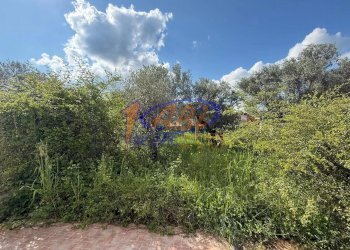 Villa a Schiera Lanciano - foto 20