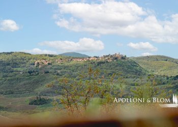 Apartment Via di Gracciano nel Corso, 87, Montepulciano - photo 24