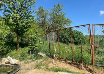 Casa indipendente Val Pallera, Gassino Torinese - foto 9