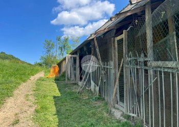 Casa indipendente Val Pallera, Gassino Torinese - foto 28