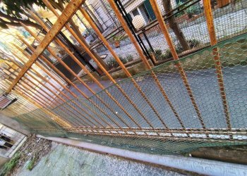 Posto Auto via G.B. D'Albertis, Genova (zona San Fruttuoso) - foto 8