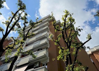 Attico Via S. Donato, Bologna - foto 1