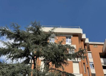 Attico Via S. Donato, Bologna - foto 2