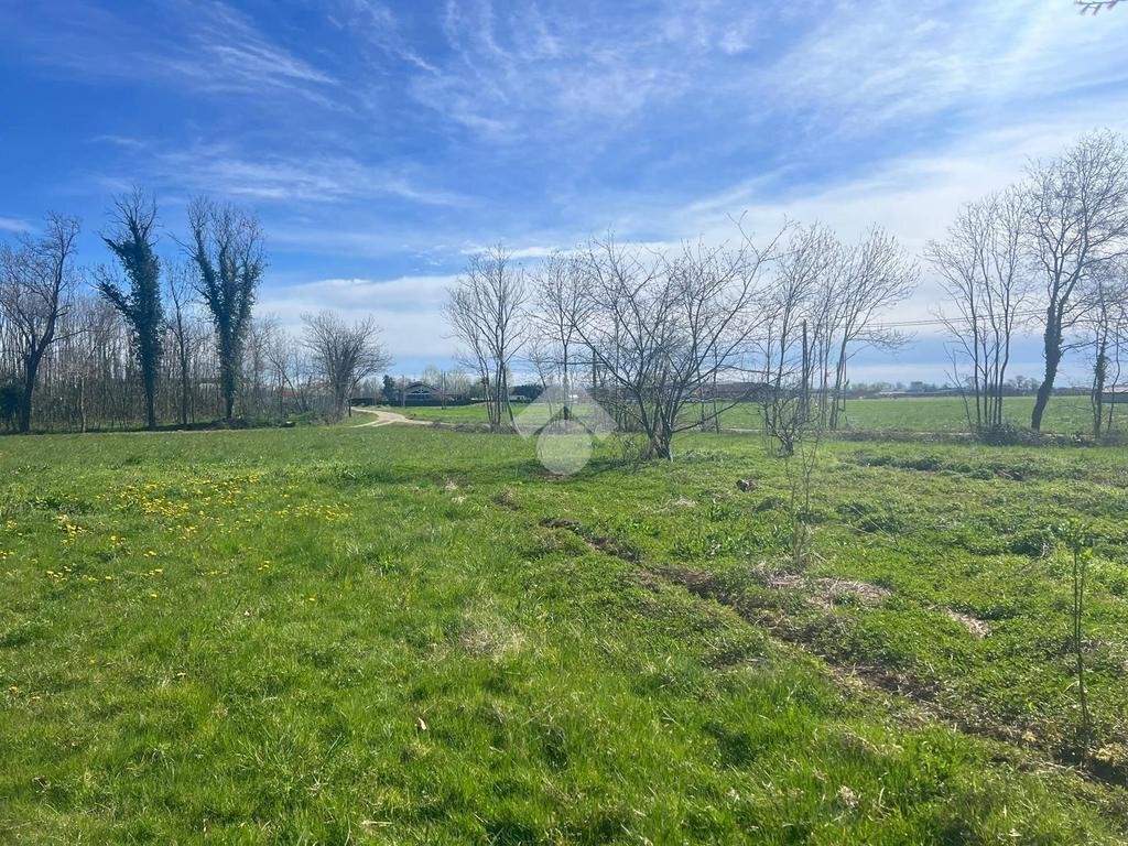 Terreno agricolo Via Cascina Galante, Cerrione - foto 1