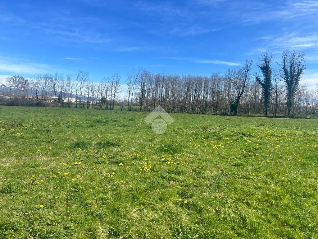 Terreno agricolo Via Cascina Galante, Cerrione - foto 2