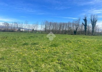 Terreno agricolo Via Cascina Galante, Cerrione - foto 2