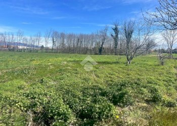 Terreno agricolo Via Cascina Galante, Cerrione - foto 4