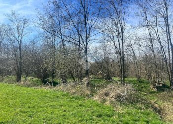 Terreno agricolo Via Cascina Galante, Cerrione - foto 5