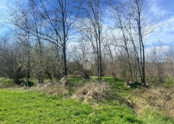 Terreno agricolo Via Cascina Galante, Cerrione - foto 6