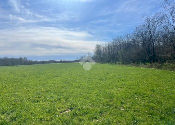 Terreno agricolo Via Cascina Galante, Cerrione - foto 9