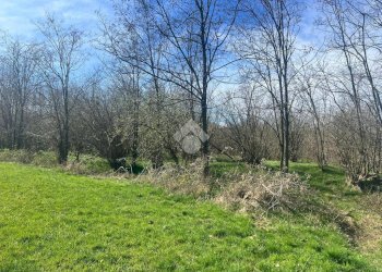 Terreno agricolo Via Cascina Galante, Cerrione - foto 10