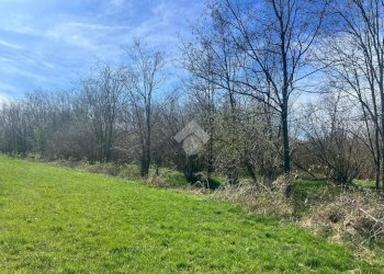 Terreno agricolo Via Cascina Galante, Cerrione - foto 11