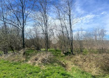 Terreno agricolo Via Cascina Galante, Cerrione - foto 12