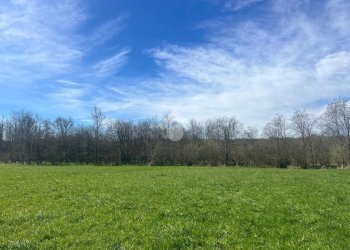 Terreno agricolo Via Cascina Galante, Cerrione - foto 16