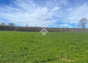 Terreno agricolo Via Cascina Galante, Cerrione - foto 17