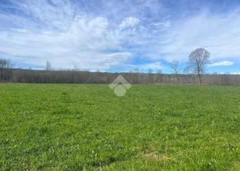 Terreno agricolo Via Cascina Galante, Cerrione - foto 18