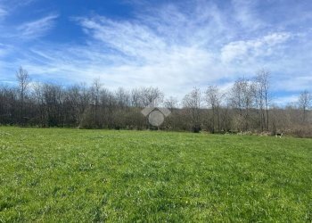 Terreno agricolo Via Cascina Galante, Cerrione - foto 19