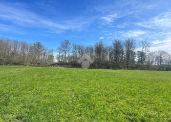 Terreno agricolo Via Cascina Galante, Cerrione - foto 20