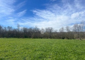 Terreno agricolo Via Cascina Galante, Cerrione - foto 21