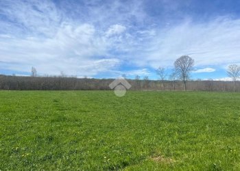 Terreno agricolo Via Cascina Galante, Cerrione - foto 22