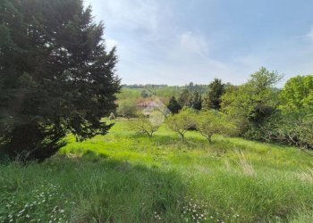 Terreno edificabile Via Vallerana, Acqui Terme - foto 5