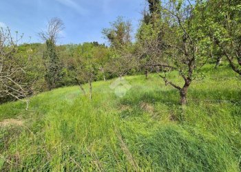 Terreno edificabile Via Vallerana, Acqui Terme - foto 6