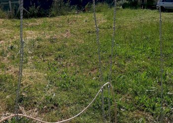 Foto 2 - Building land LOCALITA' CONVENTO, Mosciano Sant'Angelo - photo 2