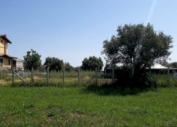 Foto 3 - Building land LOCALITA' CONVENTO, Mosciano Sant'Angelo - photo 3