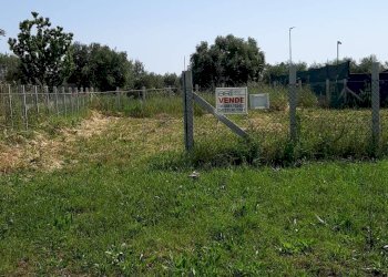 Foto 4 - Building land LOCALITA' CONVENTO, Mosciano Sant'Angelo - photo 4
