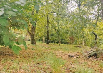 Foto 1 - Terreno edificabile Vicolo del Borchellino
 
snc, Villafranca in Lunigiana - foto 1