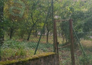 Foto 5 - Terreno edificabile Vicolo del Borchellino
 
snc, Villafranca in Lunigiana - foto 5