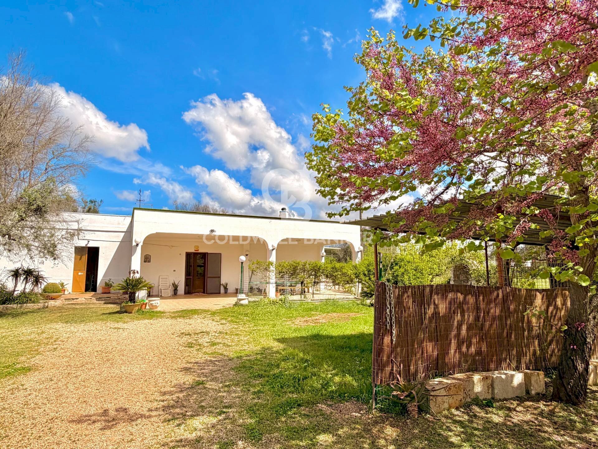 Foto 1 - Villa Contrada Campi
 
Snc, San Vito dei Normanni - foto 1