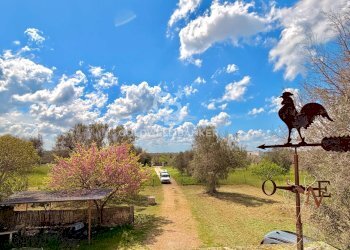 Foto 24 - Villa Contrada Campi
 
Snc, San Vito dei Normanni - foto 24