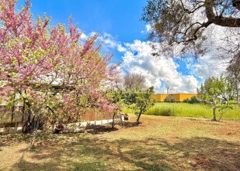 Foto 41 - Villa Contrada Campi
 
Snc, San Vito dei Normanni - foto 41