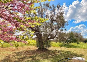 Foto 42 - Villa Contrada Campi
 
Snc, San Vito dei Normanni - foto 42