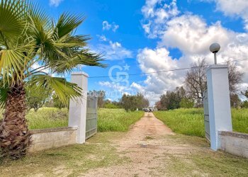 Foto 44 - Villa Contrada Campi
 
Snc, San Vito dei Normanni - foto 44