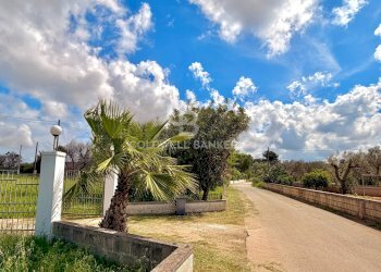 Foto 45 - Villa Contrada Campi
 
Snc, San Vito dei Normanni - foto 45