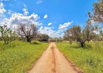 Foto 47 - Villa Contrada Campi
 
Snc, San Vito dei Normanni - foto 47