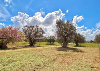 Foto 48 - Villa Contrada Campi
 
Snc, San Vito dei Normanni - foto 48