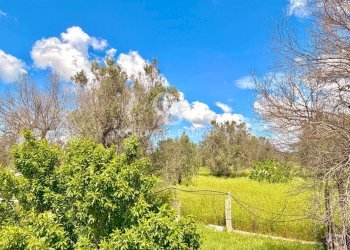 Foto 49 - Villa Contrada Campi
 
Snc, San Vito dei Normanni - foto 49