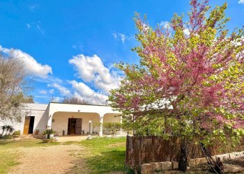 Foto 54 - Villa Contrada Campi
 
Snc, San Vito dei Normanni - foto 54