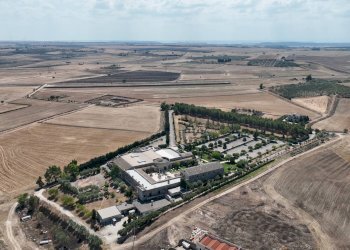 Foto 6 - Rustic La tarantina sp 27, Altamura - photo 6