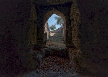 Foto 56 - Rustic La tarantina sp 27, Altamura - photo 56