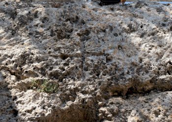 Foto 59 - Rustic La tarantina sp 27, Altamura - photo 59