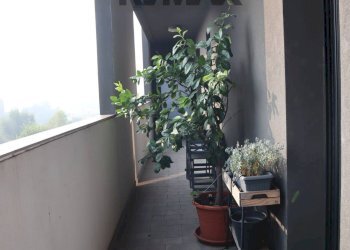 Balcone - Bilocale via Giorgio De Chirico
 
6H, Milano - foto 16