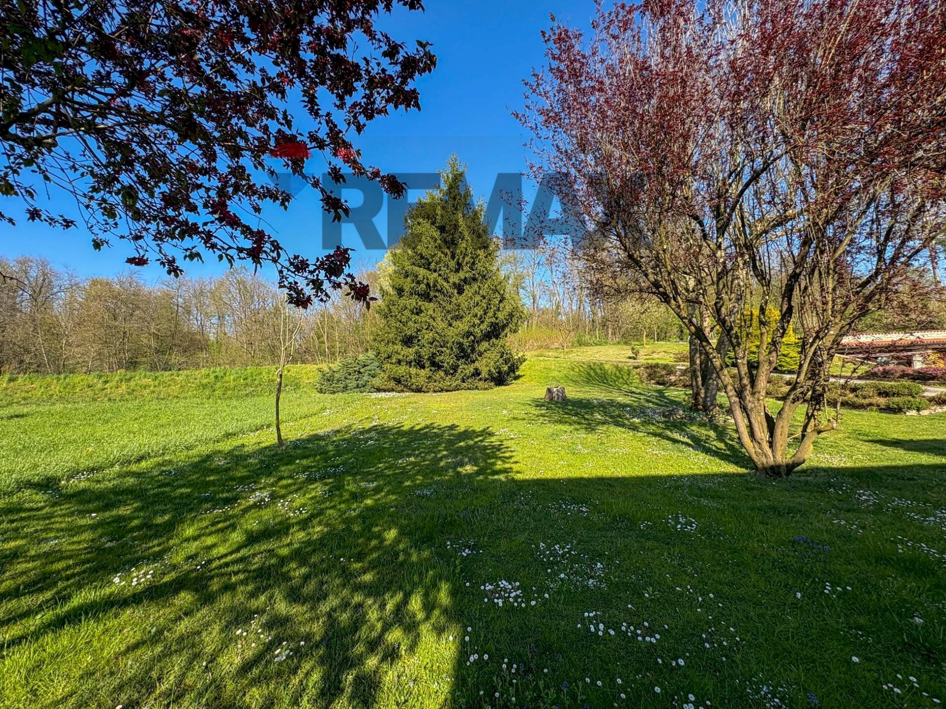 Giardino - Casa semi indipendente Via Bevera
 
5, Viggiù - foto 3